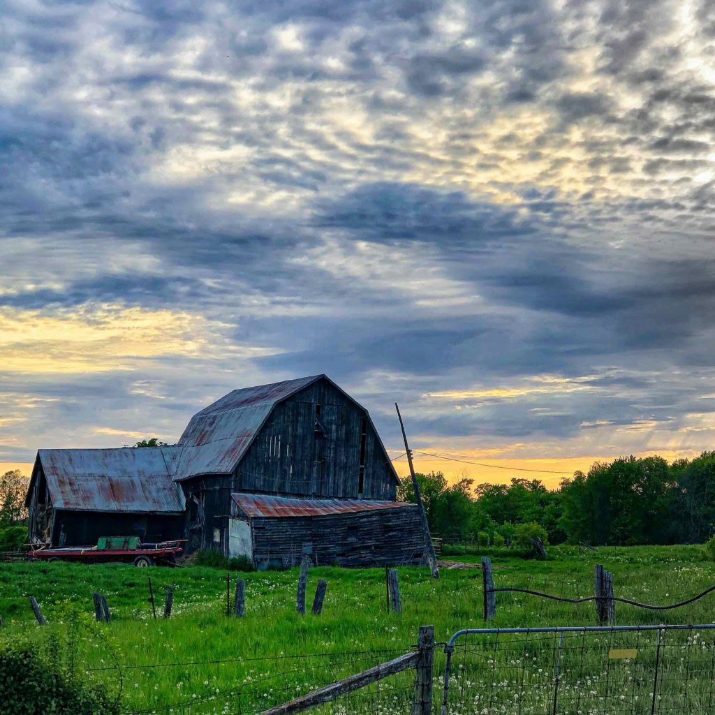 Old wooden barn with rusted metal roof in rural farm setting, surrounded by green grass and fence.