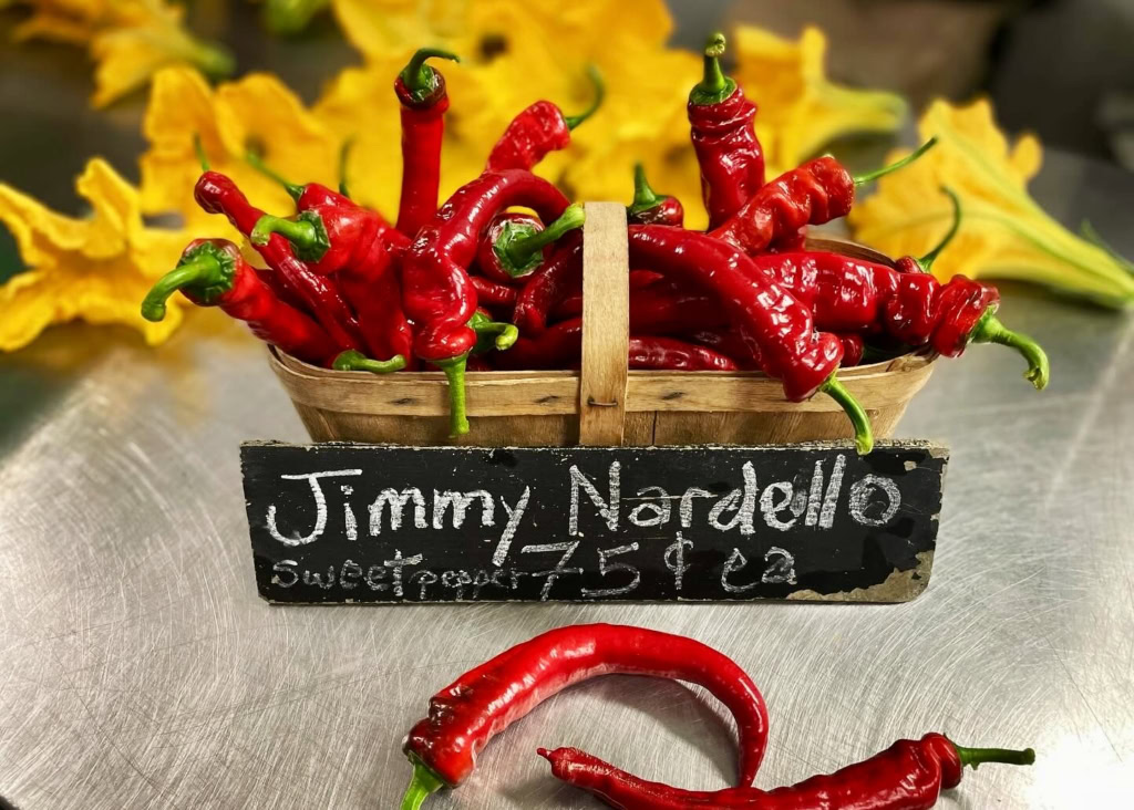 Bright red hot chili peppers displayed in a woven basket at The Gourmet Host.