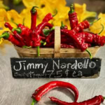 Bright red hot chili peppers displayed in a woven basket at The Gourmet Host.