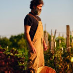Organic gardening, farm-to-table, sustainability, fresh produce, outdoor farming.