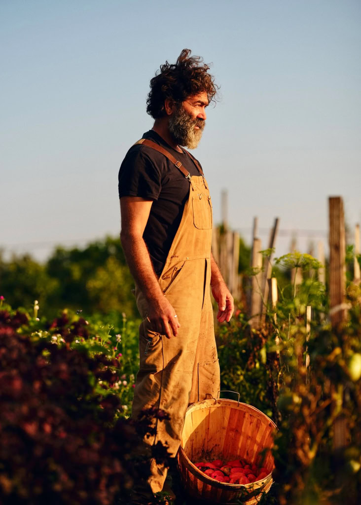 Organic gardening, farm-to-table, sustainability, fresh produce, outdoor farming.
