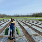 Young woman harvesting herbs on a farm, reflecting farm-to-table freshness and sustainable food sourcing at The Gourmet Host.