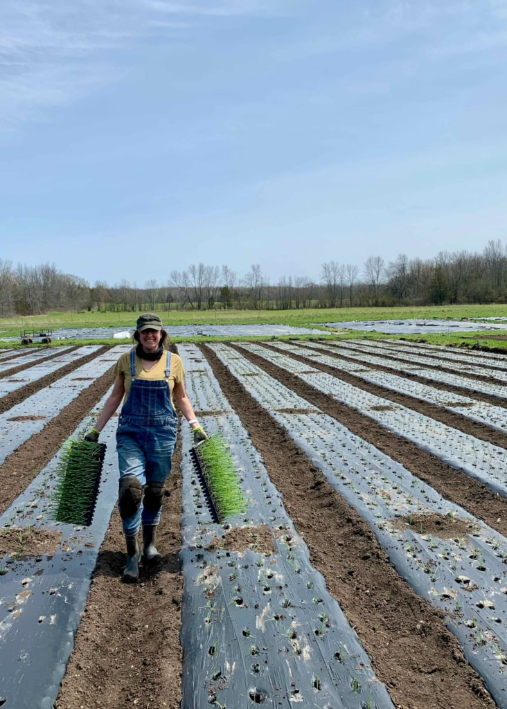 Young woman harvesting herbs on a farm, reflecting farm-to-table freshness and sustainable food sourcing at The Gourmet Host.