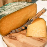 Close-up of aged cheddar cheese on wooden board with cheese knife.