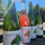 Colorful wine bottles with unique labels, set against a sunny outdoor backdrop, highlighting artisanal wine production.