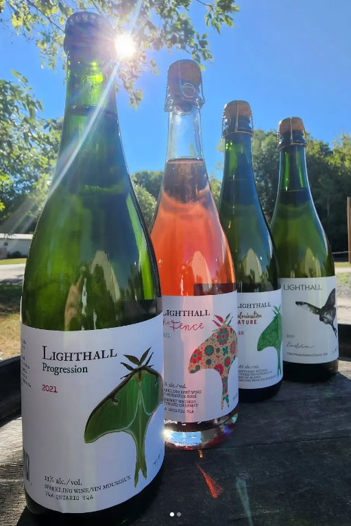 Colorful wine bottles with unique labels, set against a sunny outdoor backdrop, highlighting artisanal wine production.