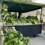Vibrant green vegetables at The Gourmet Host outdoor farmers market in a charming neighborhood.