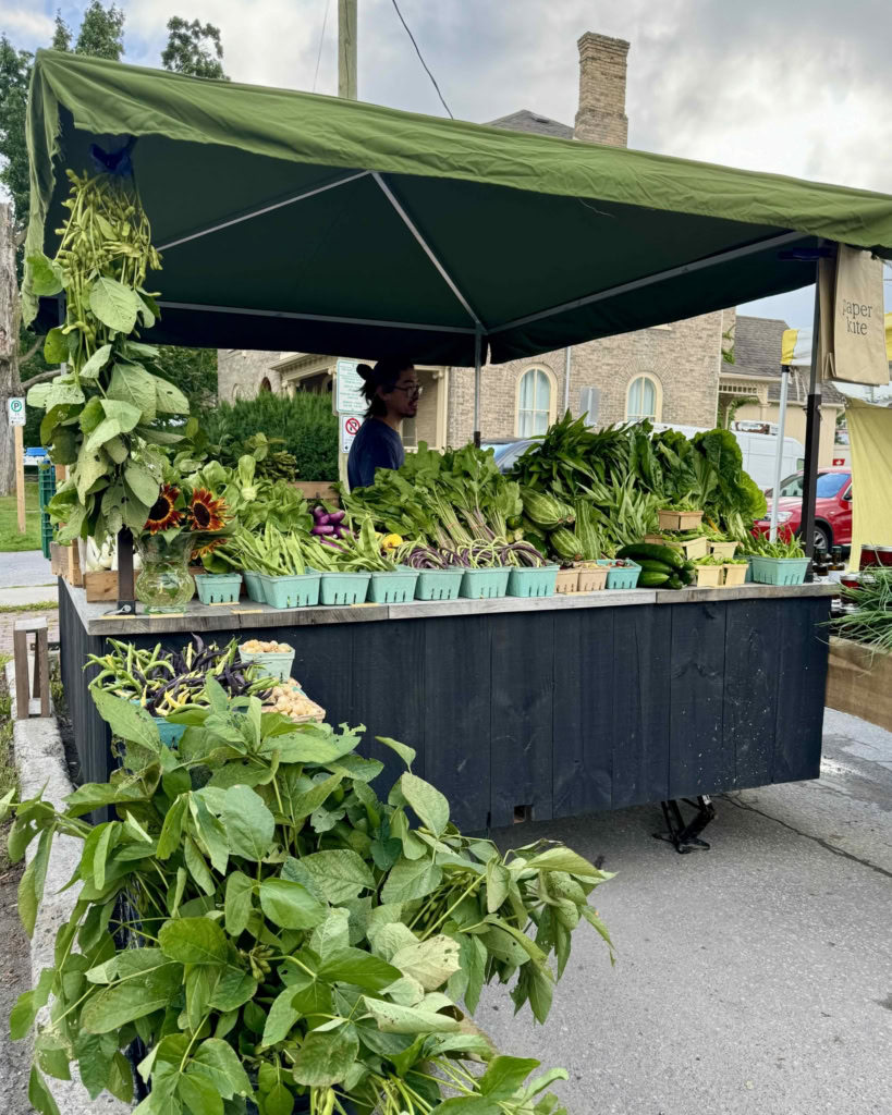 Vibrant green vegetables at The Gourmet Host outdoor farmers market in a charming neighborhood.