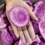 Fresh watermelon radish slices with vibrant purple and white color, perfect for gourmet presentations.
