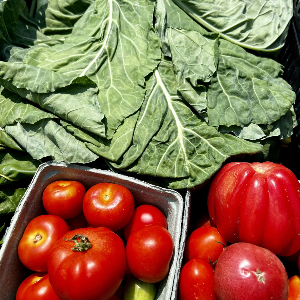Vivid image of ripe tomatoes and leafy greens perfect for gourmet cooking and farm-to-table dishes.