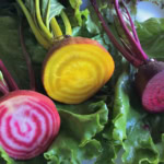 Vibrant heirloom beets with greens, farm-to-table organic produce, healthy vegetable selection.