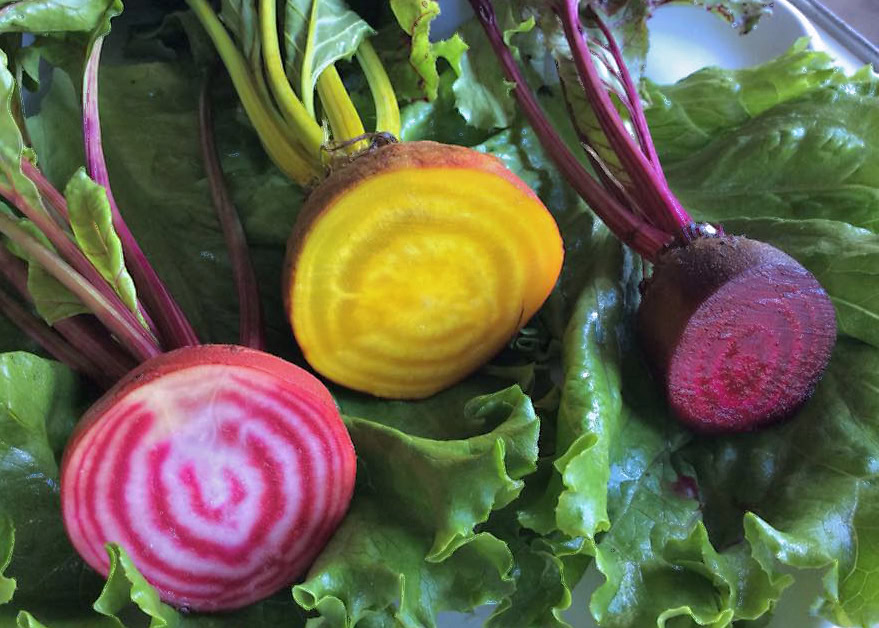 Vibrant heirloom beets with greens, farm-to-table organic produce, healthy vegetable selection.
