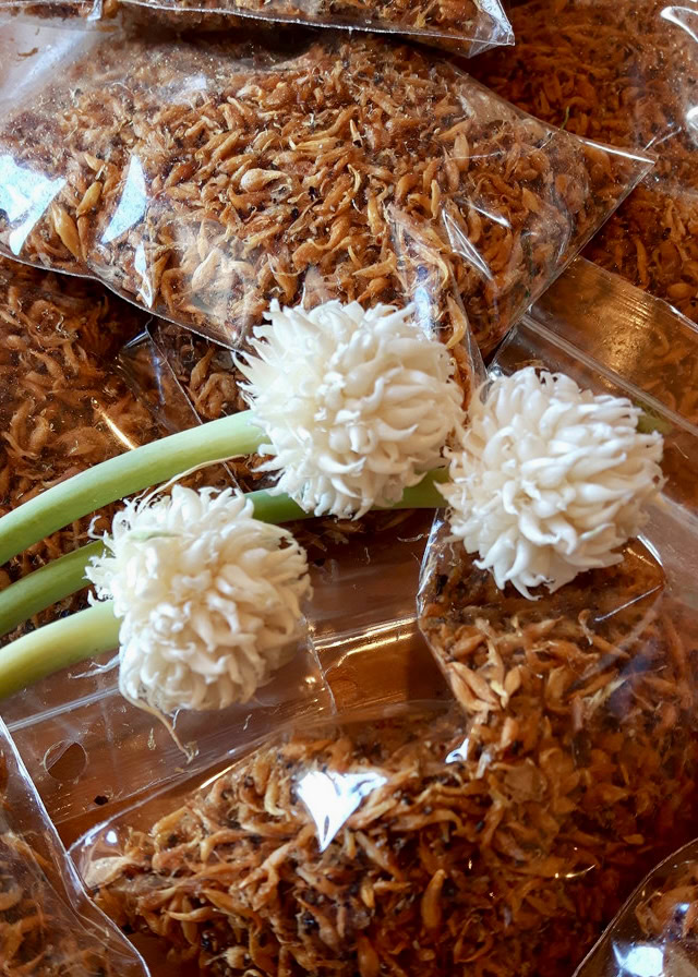 Delicious shredded pulled pork packaged for cooking, ideal for barbecue recipes.