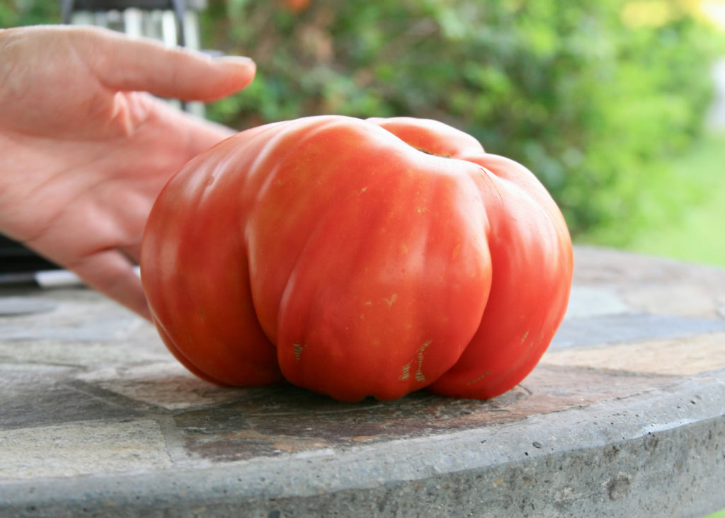 Close-up of a ripe heirloom tomato on a stone surface.