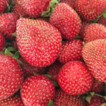 Bright red strawberries with green leaves, perfect for gourmet food presentations and desserts.