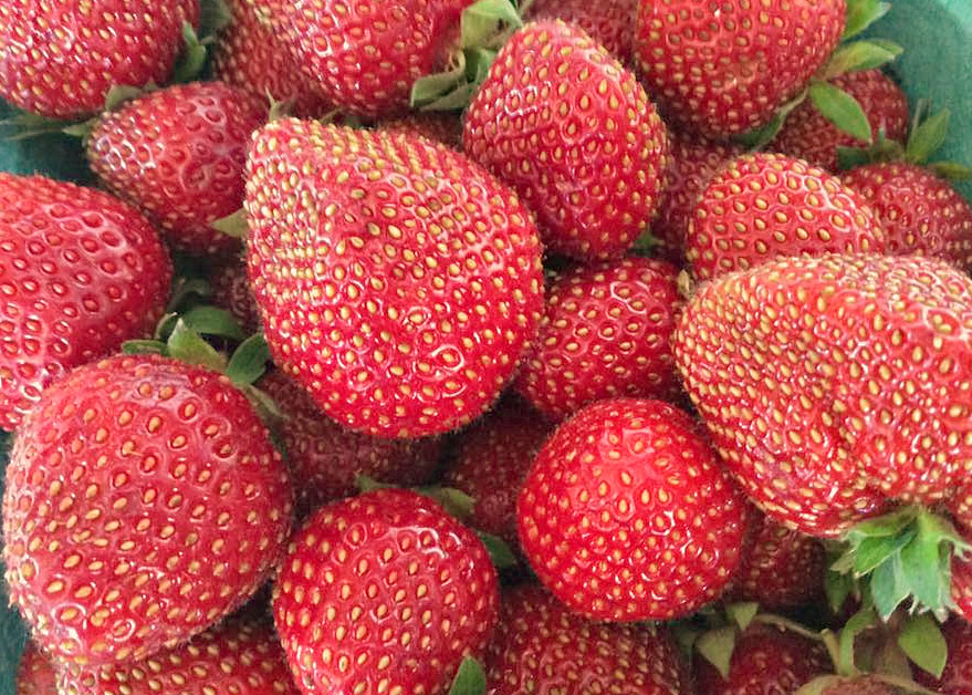 Bright red strawberries with green leaves, perfect for gourmet food presentations and desserts.