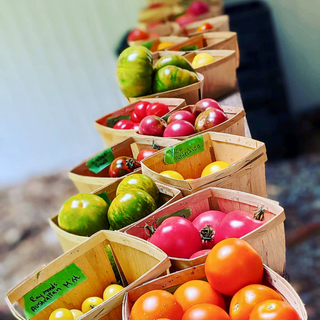A variety of vibrant, organically grown heirloom tomatoes displayed in wooden baskets, perfect for gourmet dishes and farm-to-table cuisine. Ideal for food lovers seeking fresh, healthy ingredients for gourmet cooking and entertaining.
