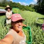 Bright and cheerful family harvesting fresh pineapples in a lush green field on a sunny day.