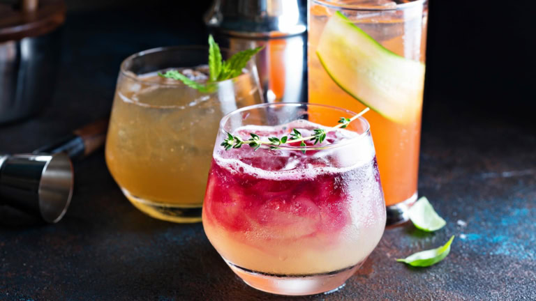 Vibrant fall cocktails featuring citrus, apple cider, pomegranate, with whiskey and gin garnishes.