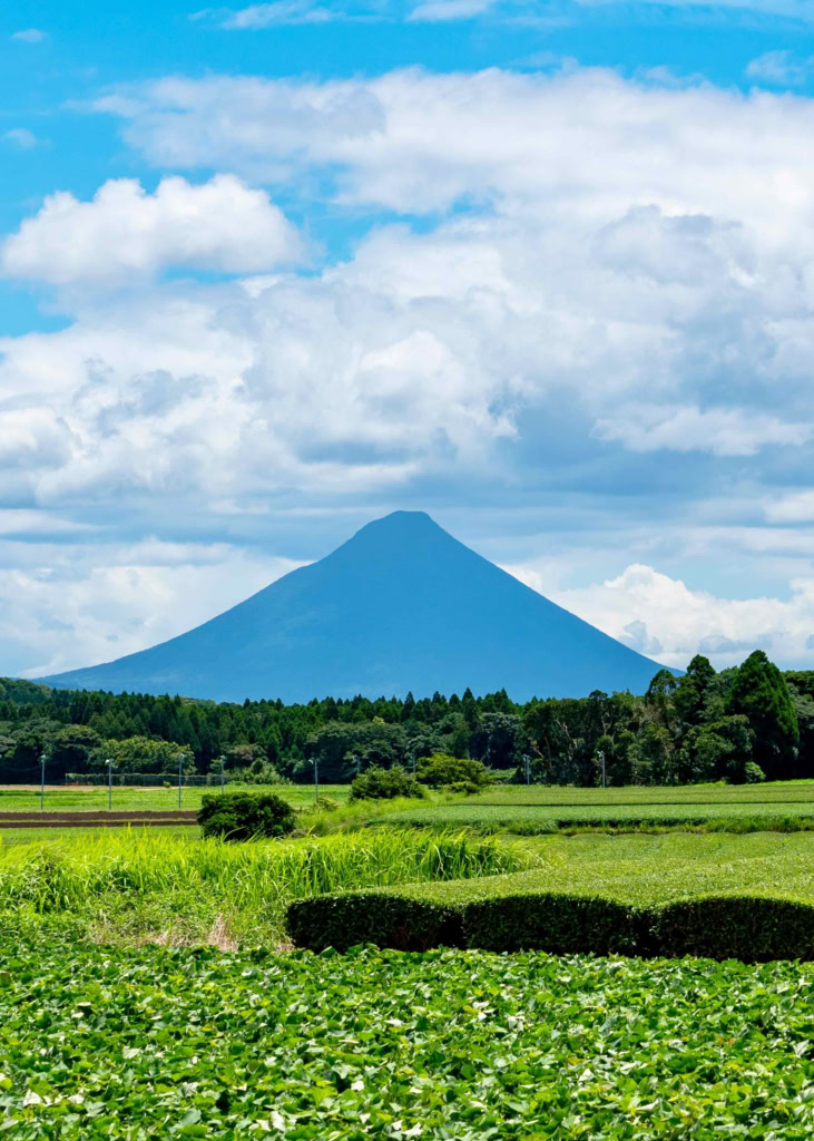 Mount Kaimondake in Kagoshima with vibrant green tea plantations under a vivid sky.