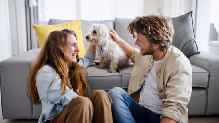 Happy woman and man playing with dog at home on sofa.