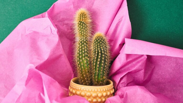 Small Gifts That Will Make Your Dinner Party Guests Feel Special