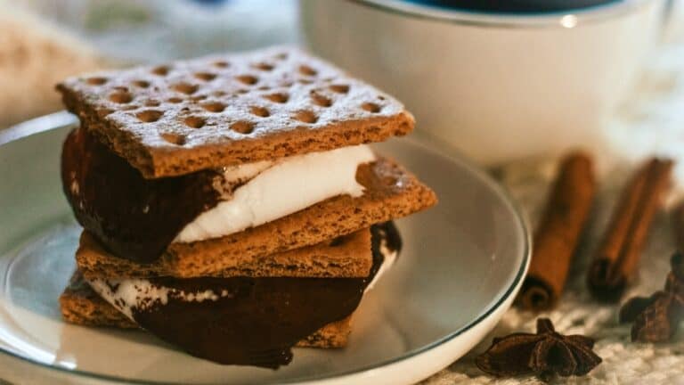 Delicious s'mores with graham crackers, melted chocolate, and marshmallow on a plate.