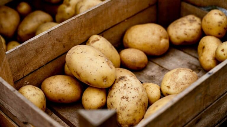 Fresh organic potatoes in a wooden crate at The Gourmet Host.