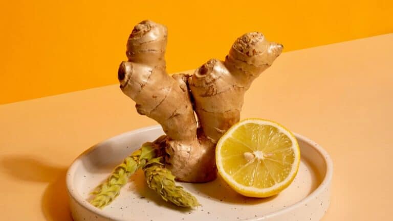 Ginger root and lemon slice in a white bowl, fresh ingredients for Shirley Temple mocktail.