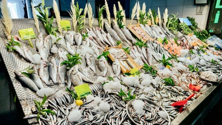 Fresh seafood display featuring a variety of fish and shellfish at a market.