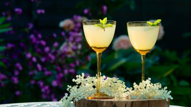Elegant garden party drinks with lemon and mint in a lush outdoor setting.