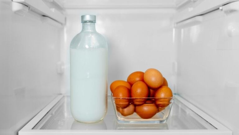 Glass bottle of milk and a bowl of brown eggs inside a refrigerator.