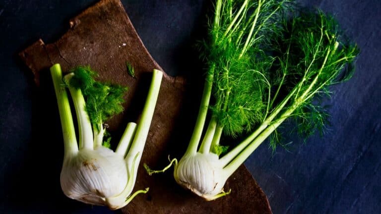 Fresh garlic and dill on a dark surface for cooking or garnishing.